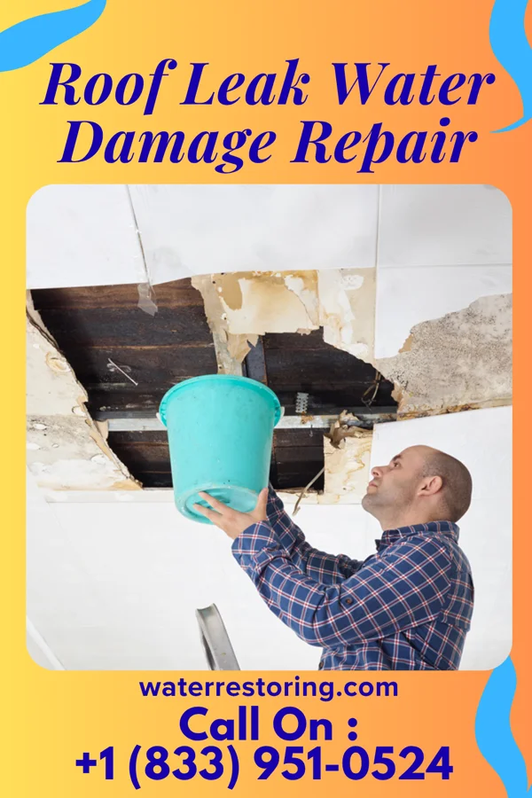 Roof Leak Water Damage Repair in Success, AR